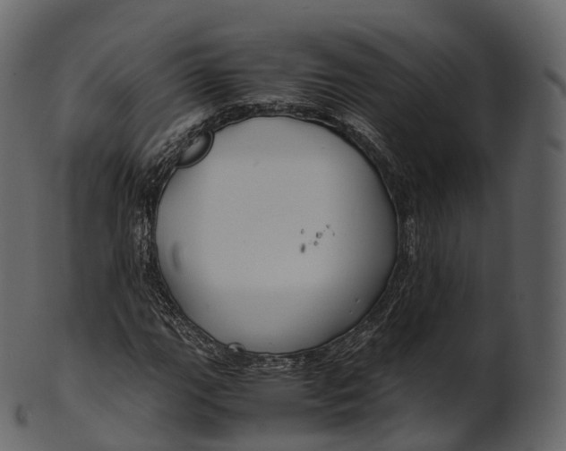 X0000100491111200807031909