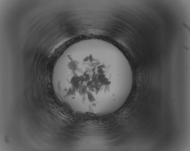 X0000100491112200807031909