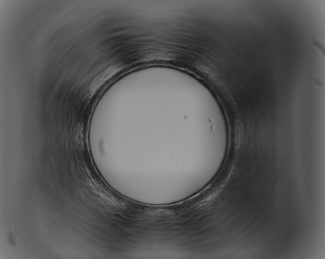 X0000100491113200807031910