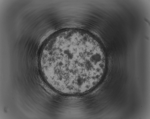 X0000100491114200807031910