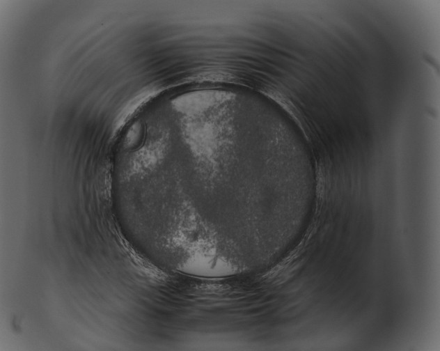 X0000100491115200807031910