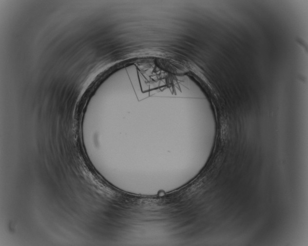 X0000100491116200807031910