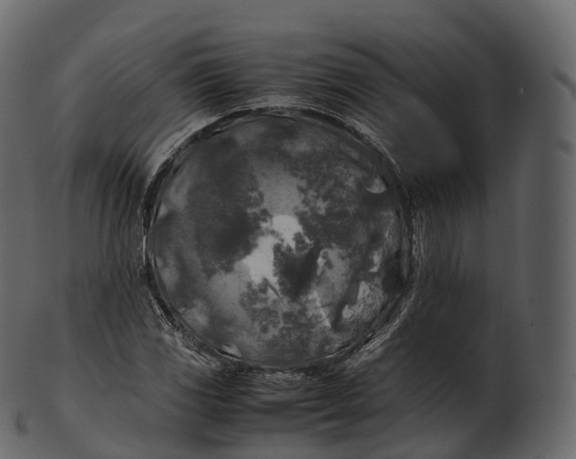 X0000100491117200807031910