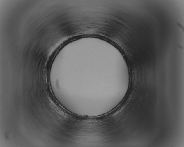 X0000100491118200807031910