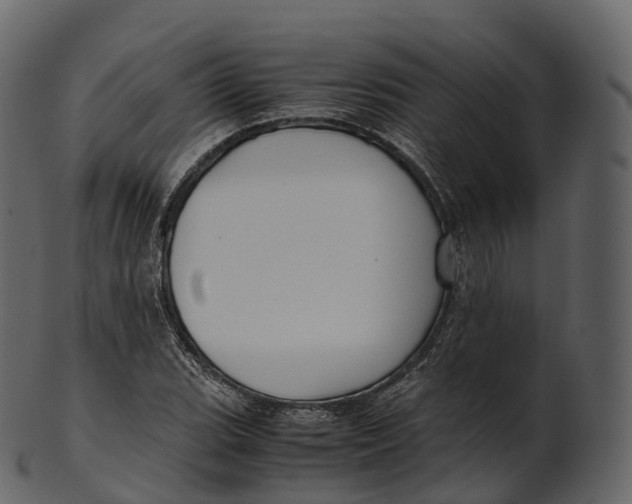 X0000100491119200807031910