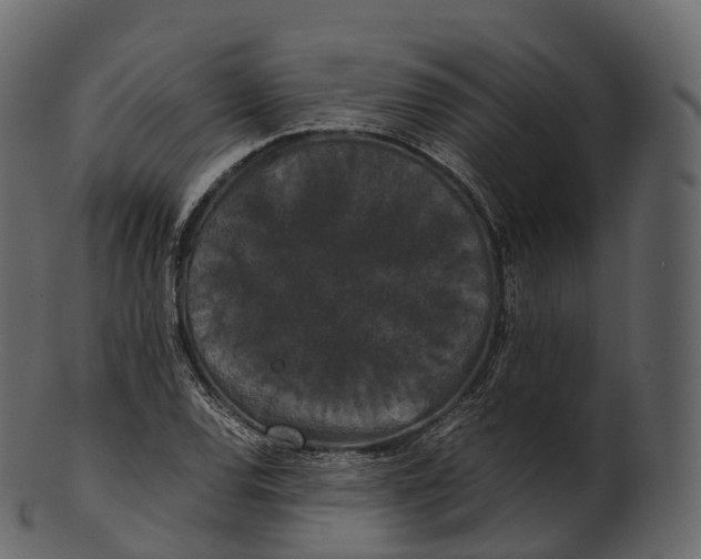 X0000100491120200807031910