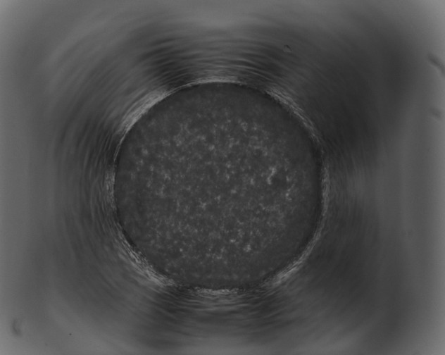 X0000100491121200807031910