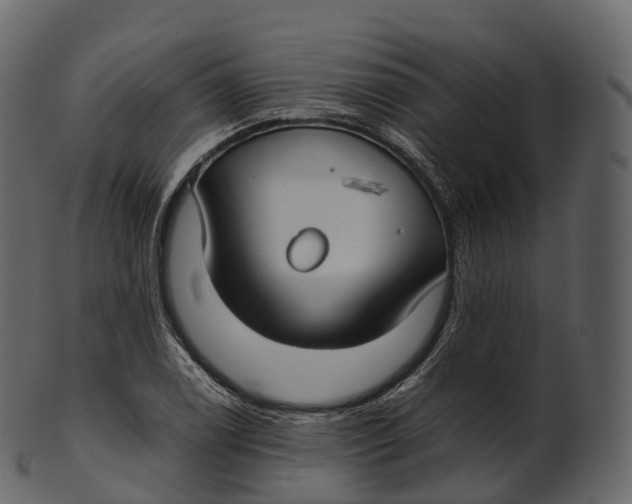 X0000100491122200807031910