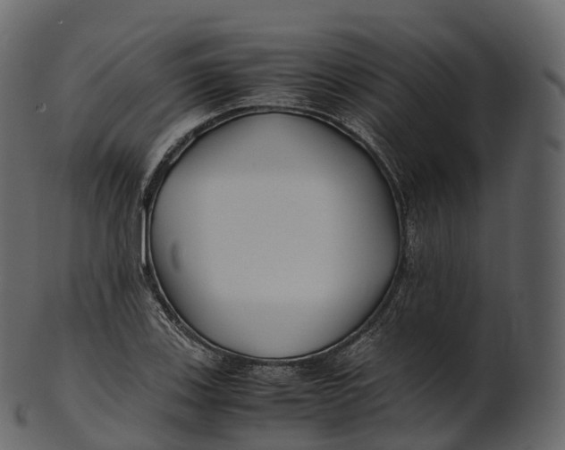 X0000100491123200807031910