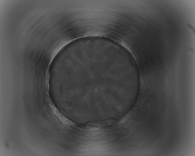 X0000100491124200807031910