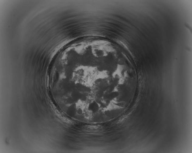 X0000100491125200807031910