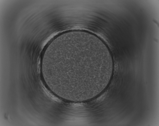 X0000100491126200807031910