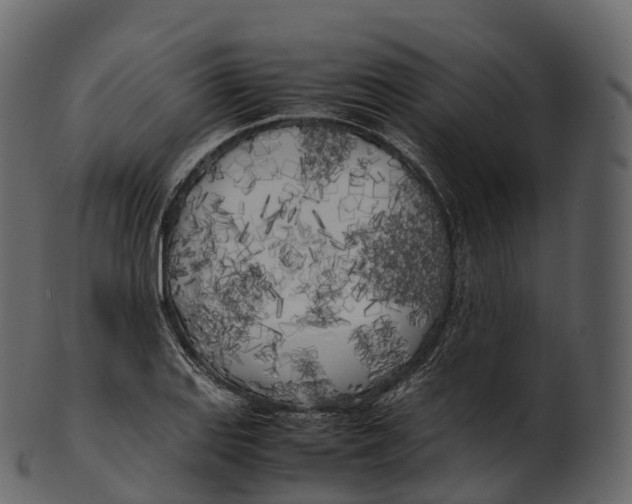 X0000100491127200807031910