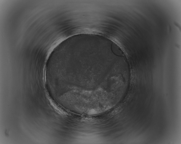 X0000100491128200807031910