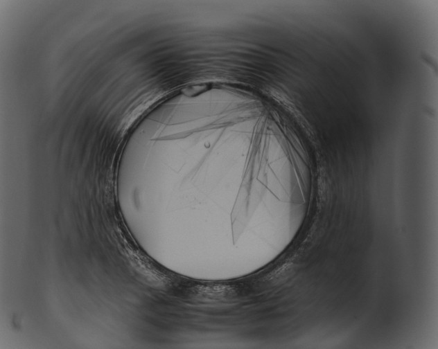 X0000100491129200807031910