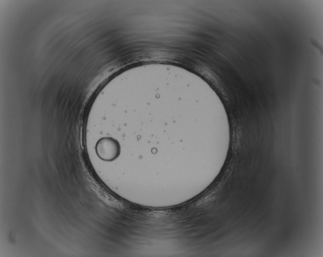 X0000100491130200807031910