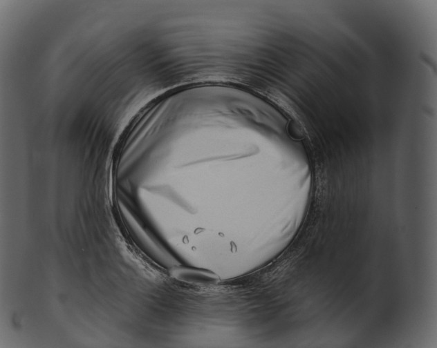 X0000100491132200807031910