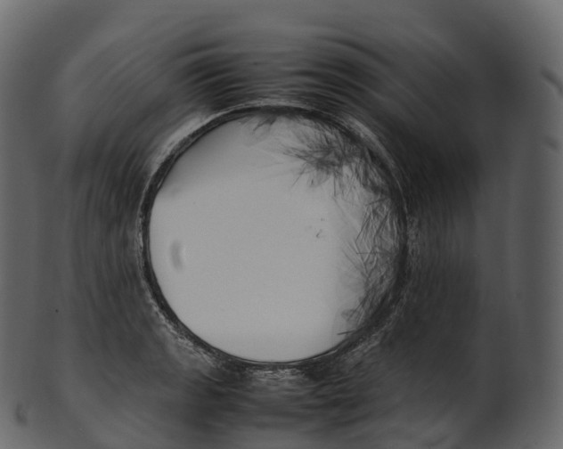 X0000100491133200807031910