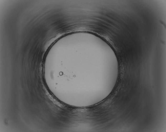 X0000100491134200807031910