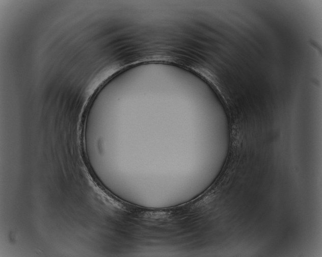 X0000100491135200807031910