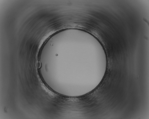 X0000100491136200807031910