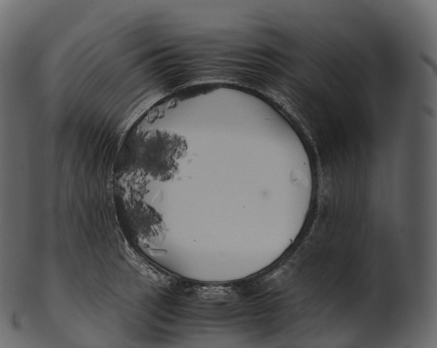 X0000100491137200807031910