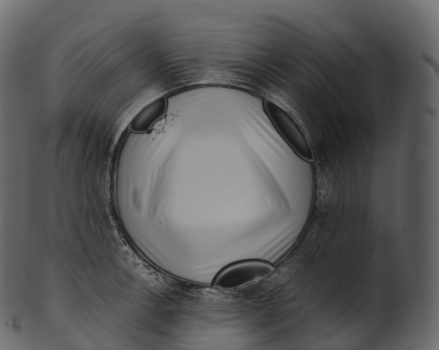 X0000100491138200807031910