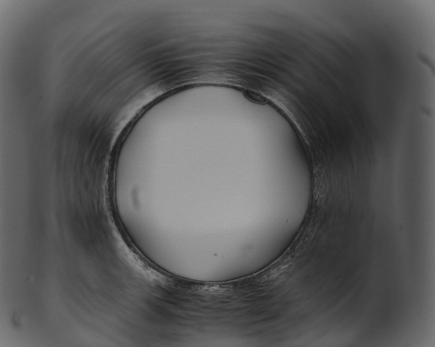 X0000100491139200807031910