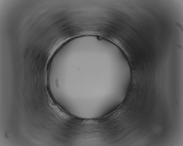 X0000100491140200807031910