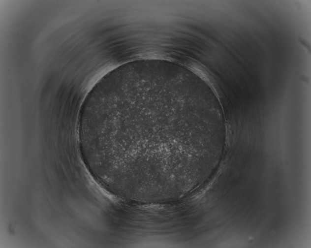 X0000100491141200807031910