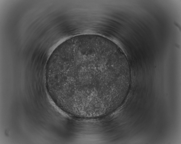 X0000100491142200807031910