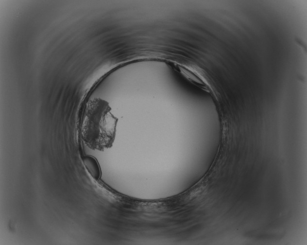 X0000100491143200807031910