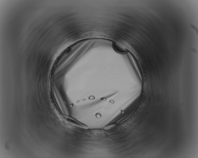 X0000100491144200807031910