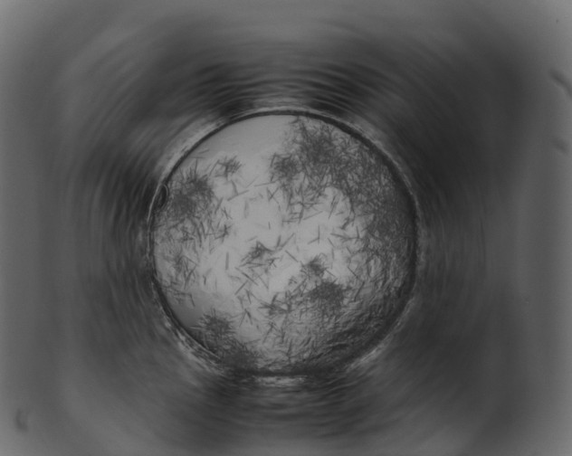 X0000100491145200807031910