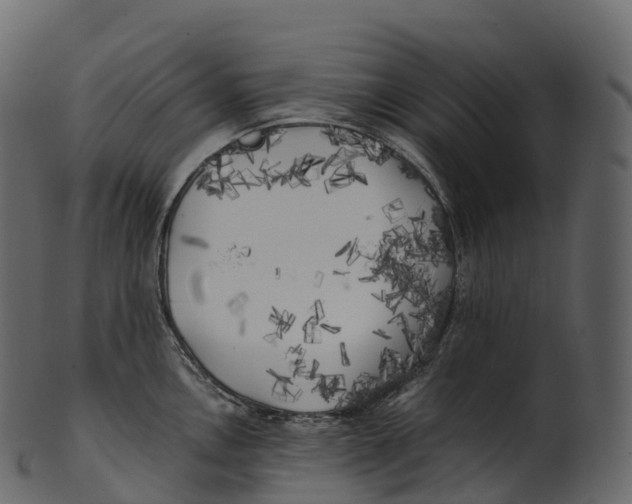 X0000100491146200807031910