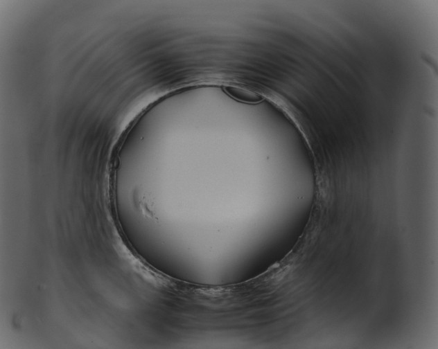 X0000100491147200807031910