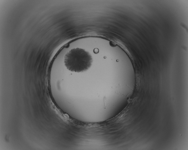 X0000100491148200807031910