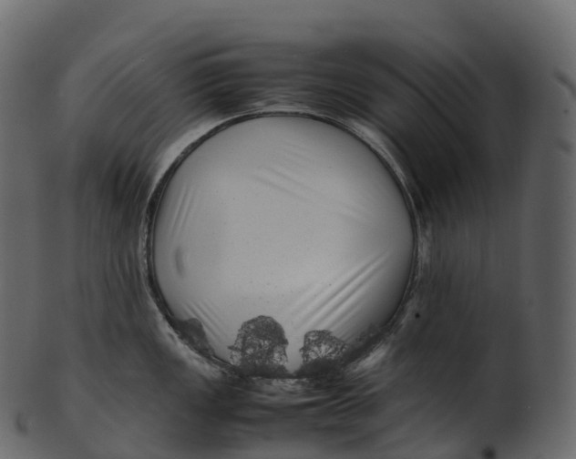 X0000100491149200807031910