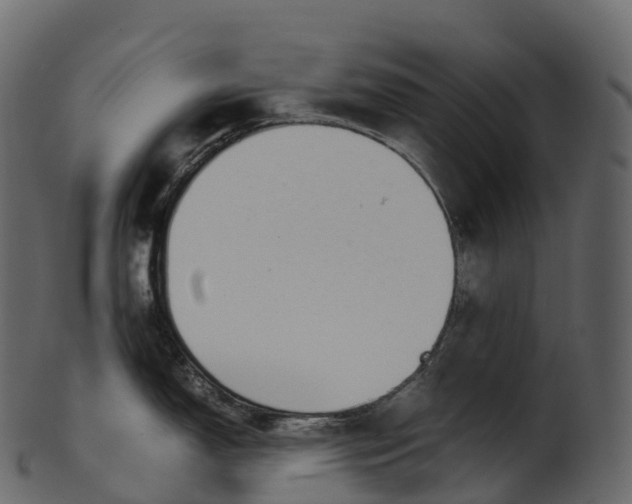 X0000100491150200807031910