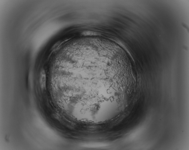 X0000100491151200807031910