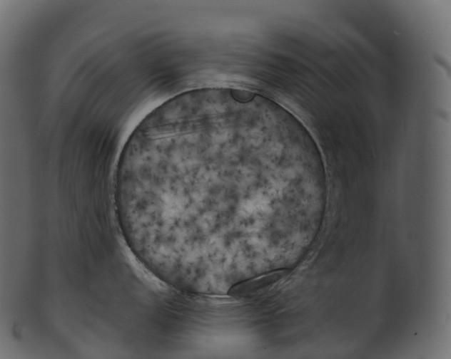 X0000100491152200807031910