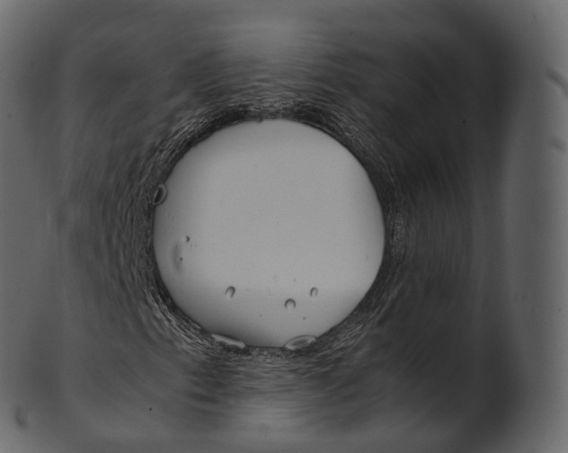 X0000100491153200807031909