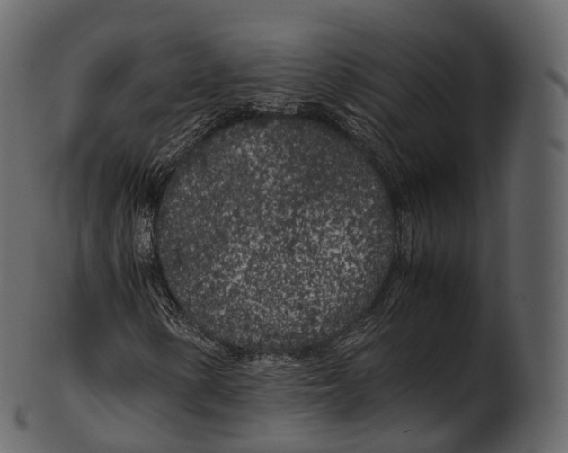 X0000100491154200807031909