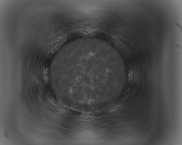 X0000100491156200807031909