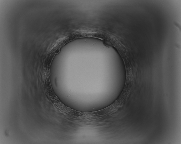 X0000100491157200807031909