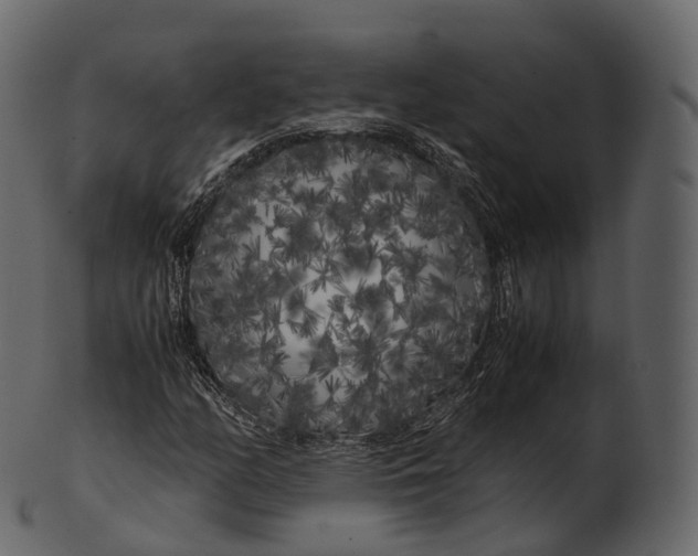 X0000100491158200807031909