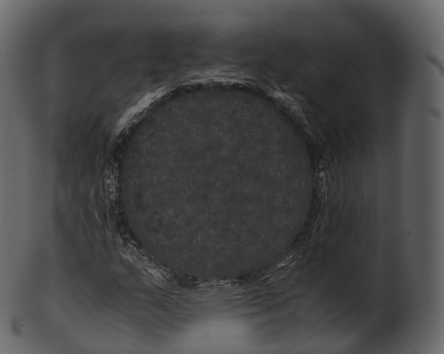 X0000100491159200807031909