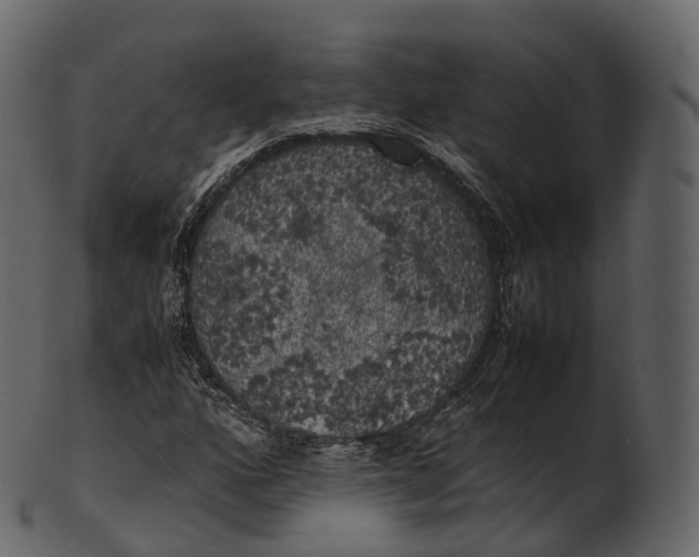 X0000100491160200807031909