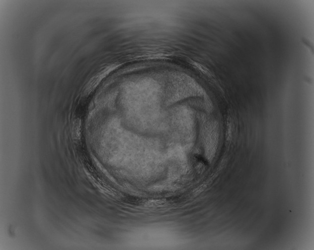 X0000100491161200807031909