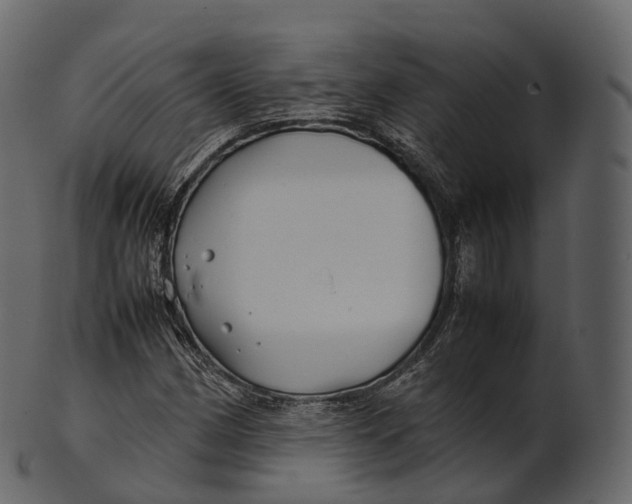 X0000100491162200807031909